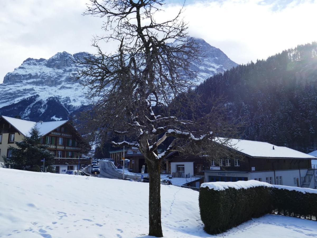 Apartment Chalet Schwendihus-6 By Interhome グリンデルヴァルト エクステリア 写真